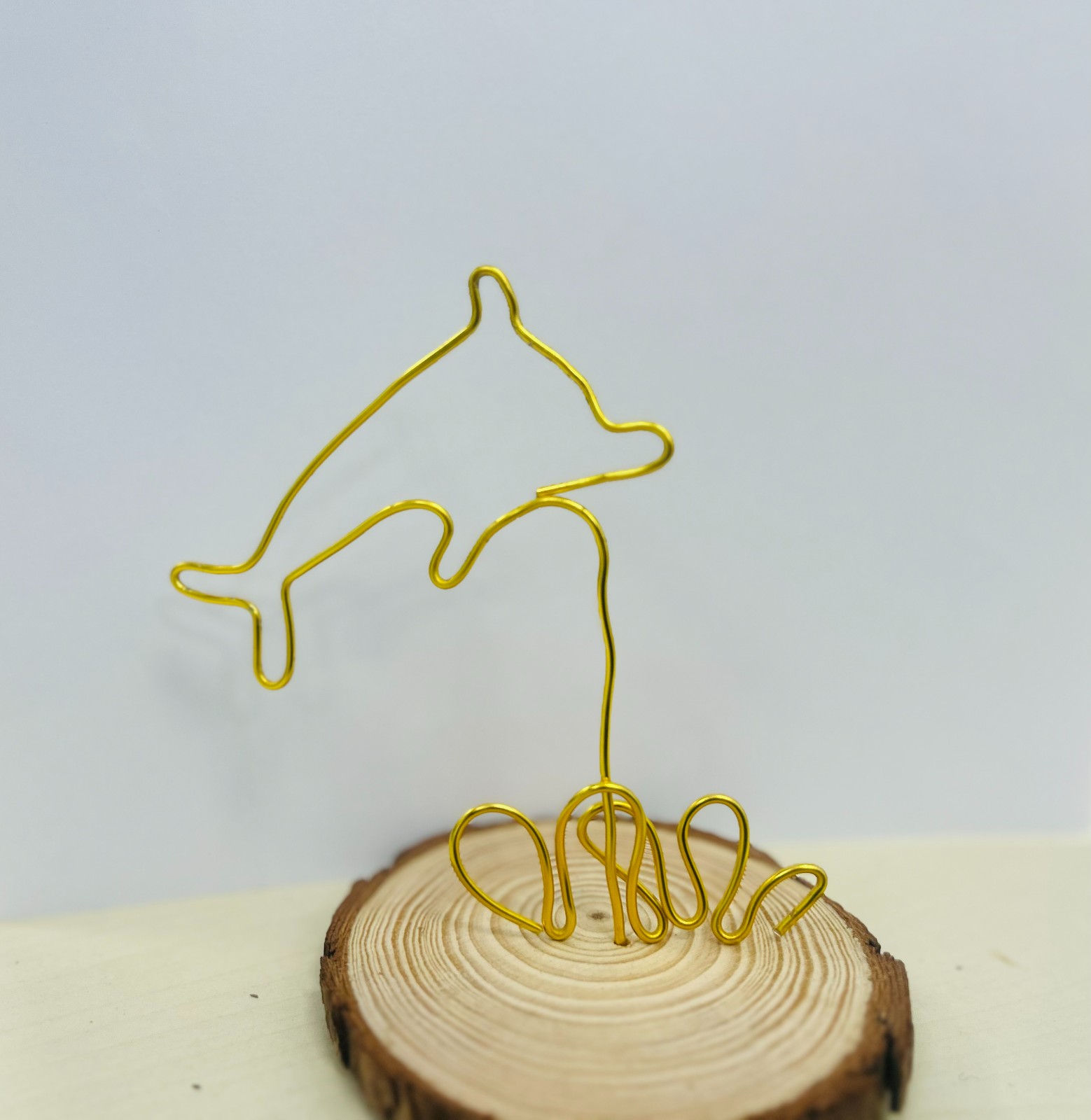 1744944205741994.jpg 3.jpg